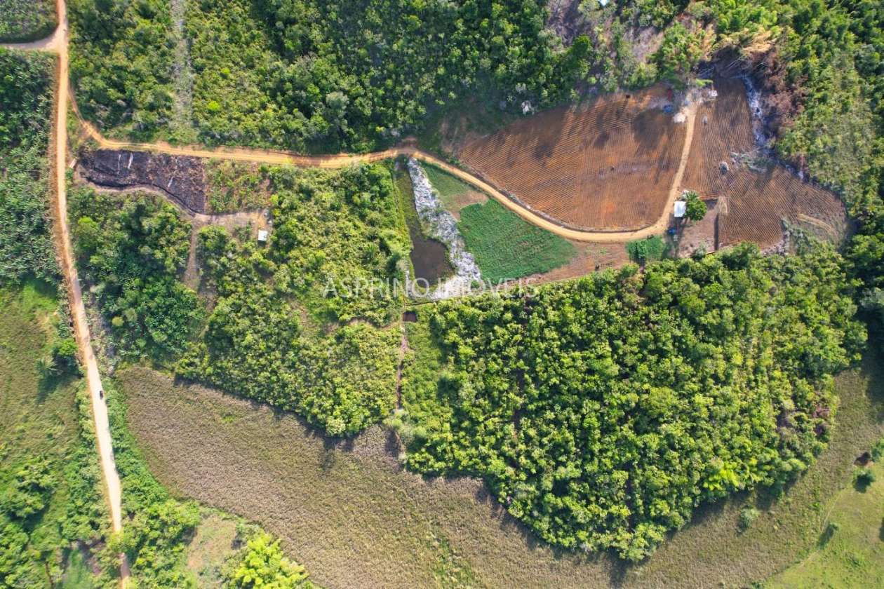 Chácara, 6 hectares - Foto 2