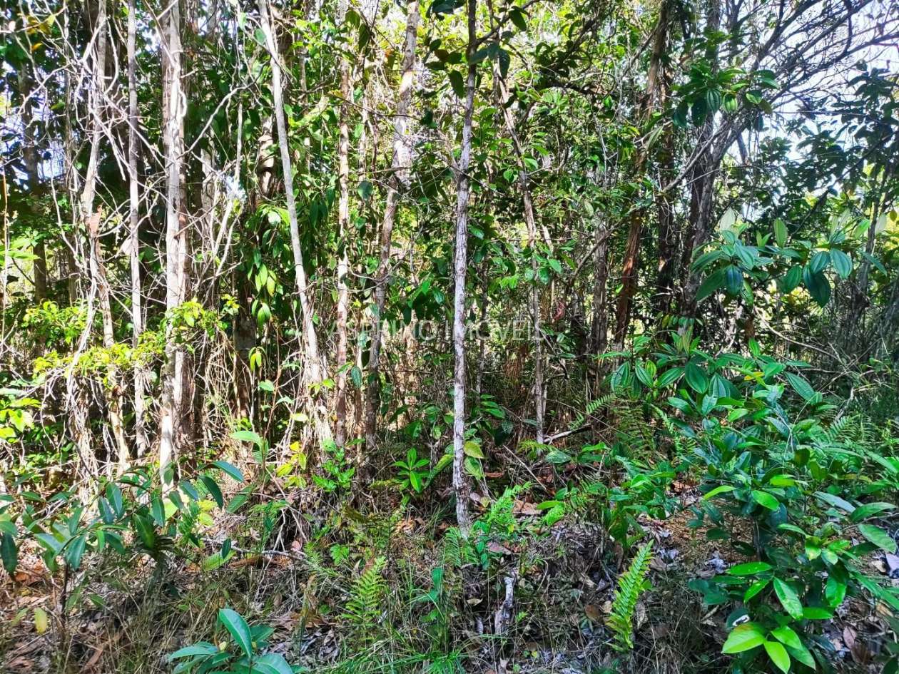 Terreno, 3 hectares - Foto 18