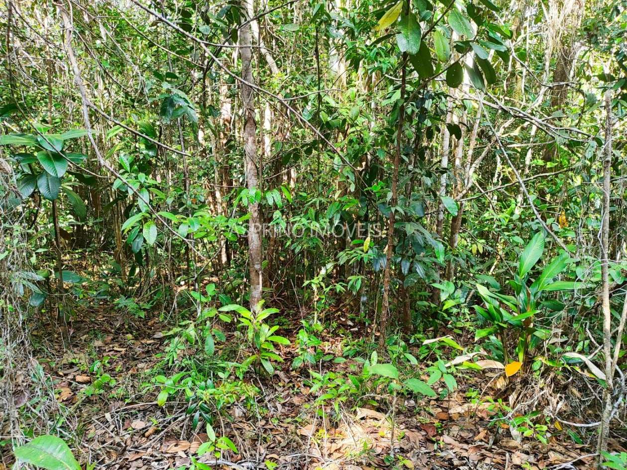 Terreno, 3 hectares - Foto 20