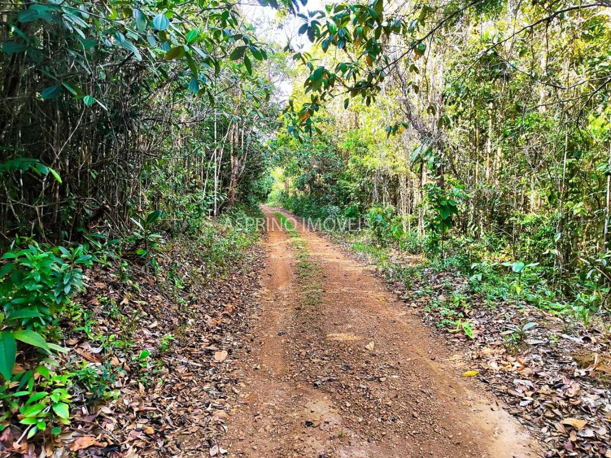 Terreno, 3 hectares - Foto 21