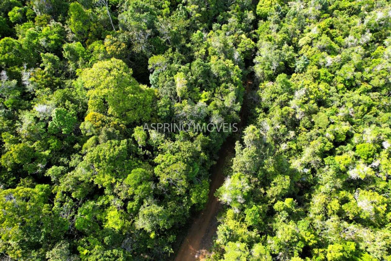 Terreno, 3 hectares - Foto 2