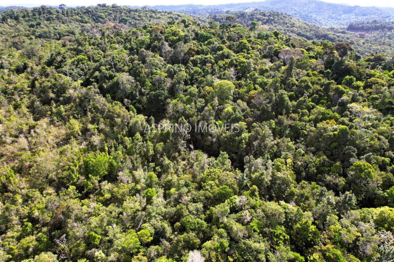 Terreno, 3 hectares - Foto 8