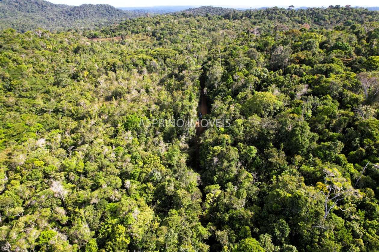 Terreno, 3 hectares - Foto 1