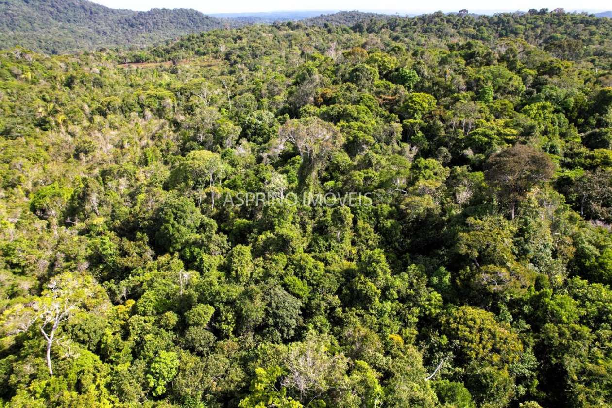 Terreno, 3 hectares - Foto 6