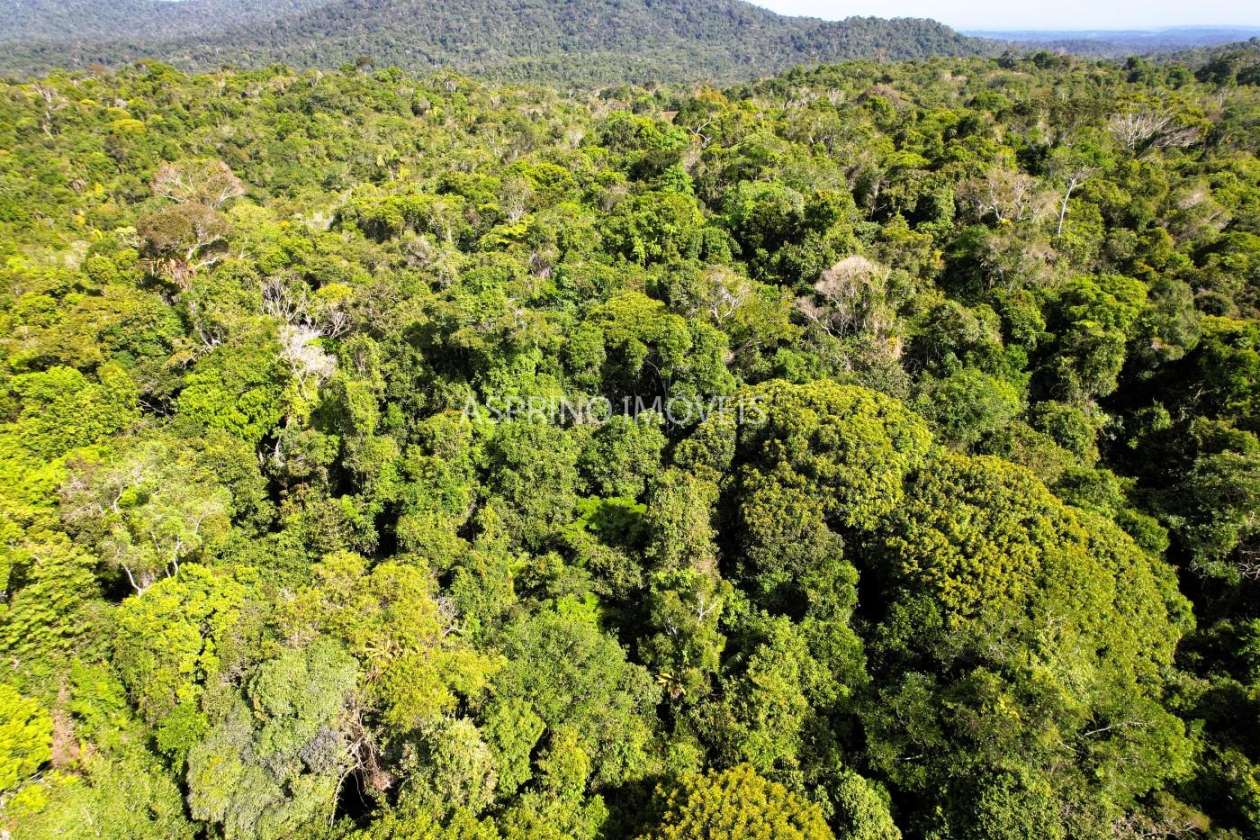 Terreno, 3 hectares - Foto 5