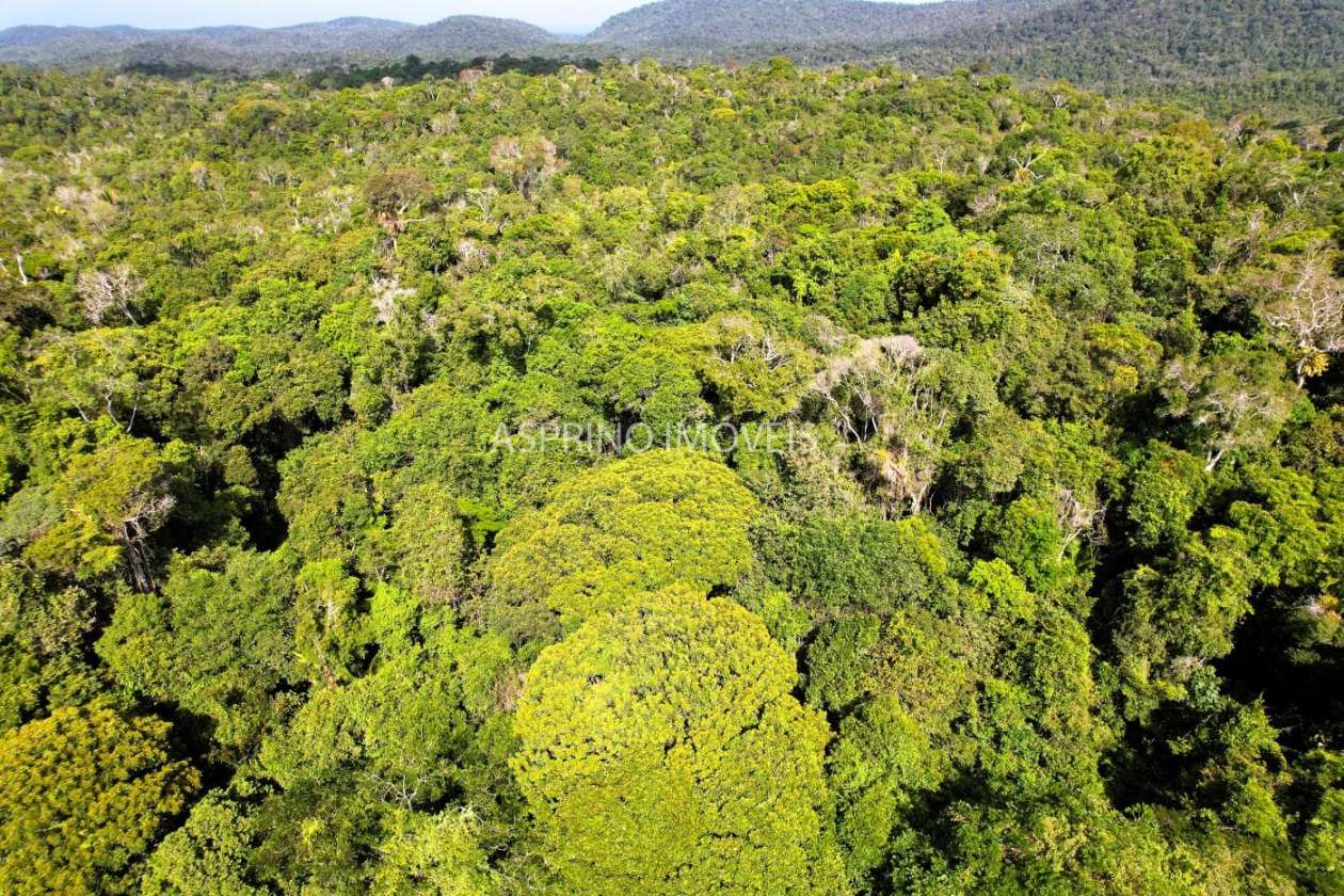 Terreno, 3 hectares - Foto 9