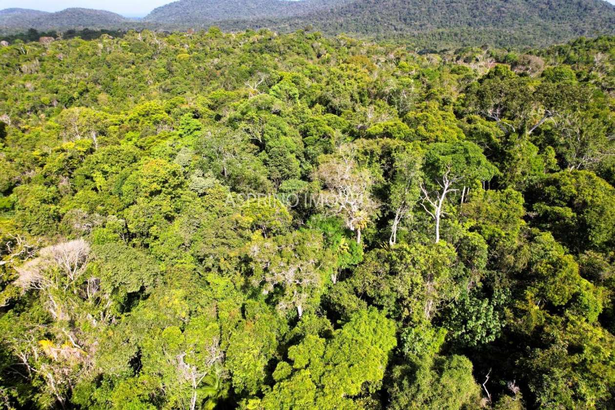 Terreno, 3 hectares - Foto 10