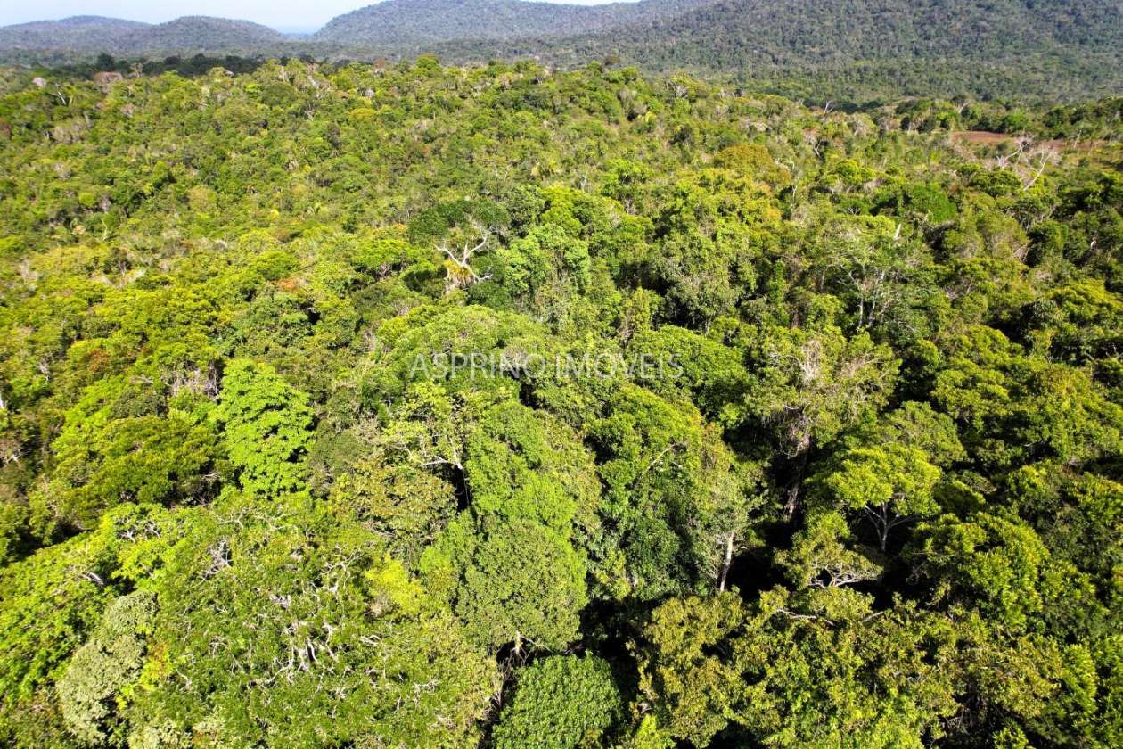 Terreno, 3 hectares - Foto 11