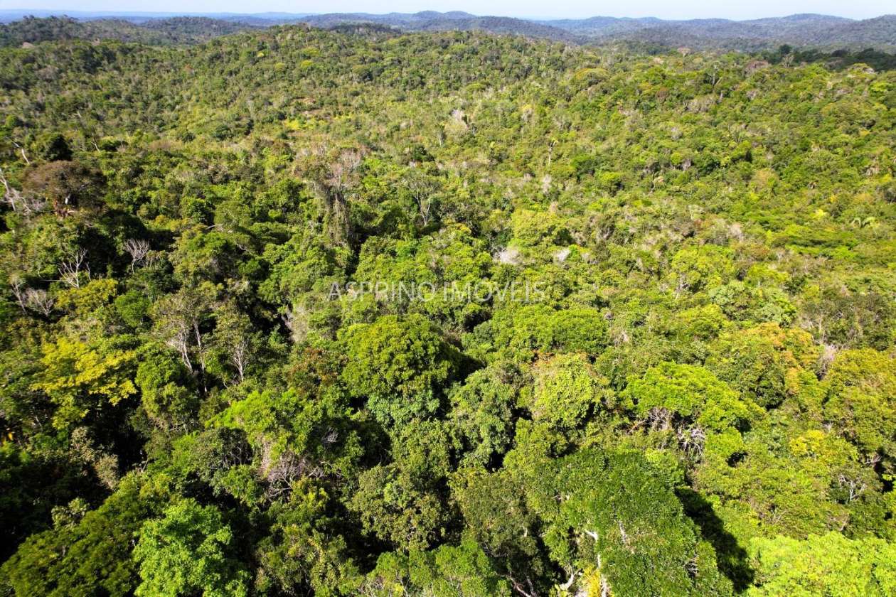 Terreno, 3 hectares - Foto 12