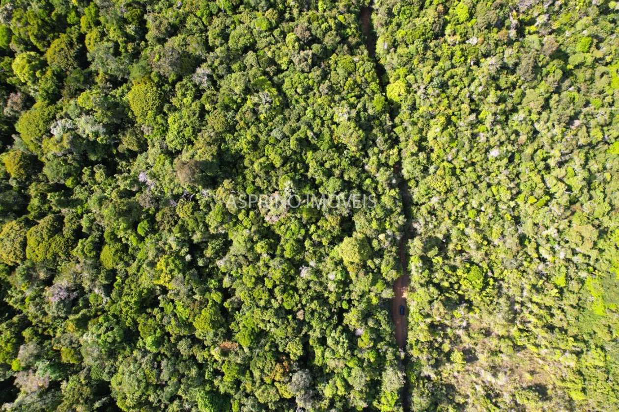 Terreno, 3 hectares - Foto 3