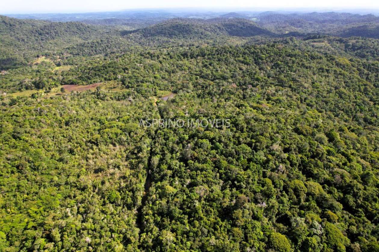 Terreno, 3 hectares - Foto 13