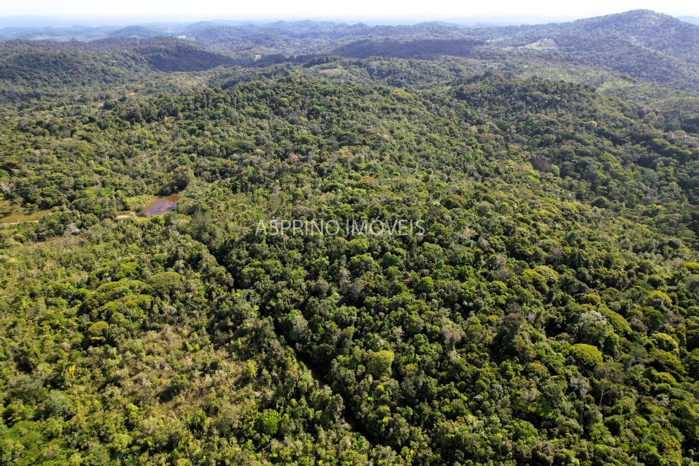 Terreno, 3 hectares - Foto 16