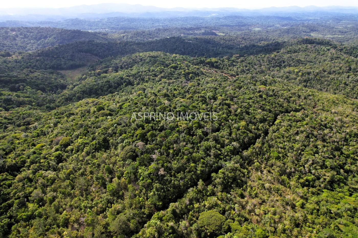 Terreno, 3 hectares - Foto 14