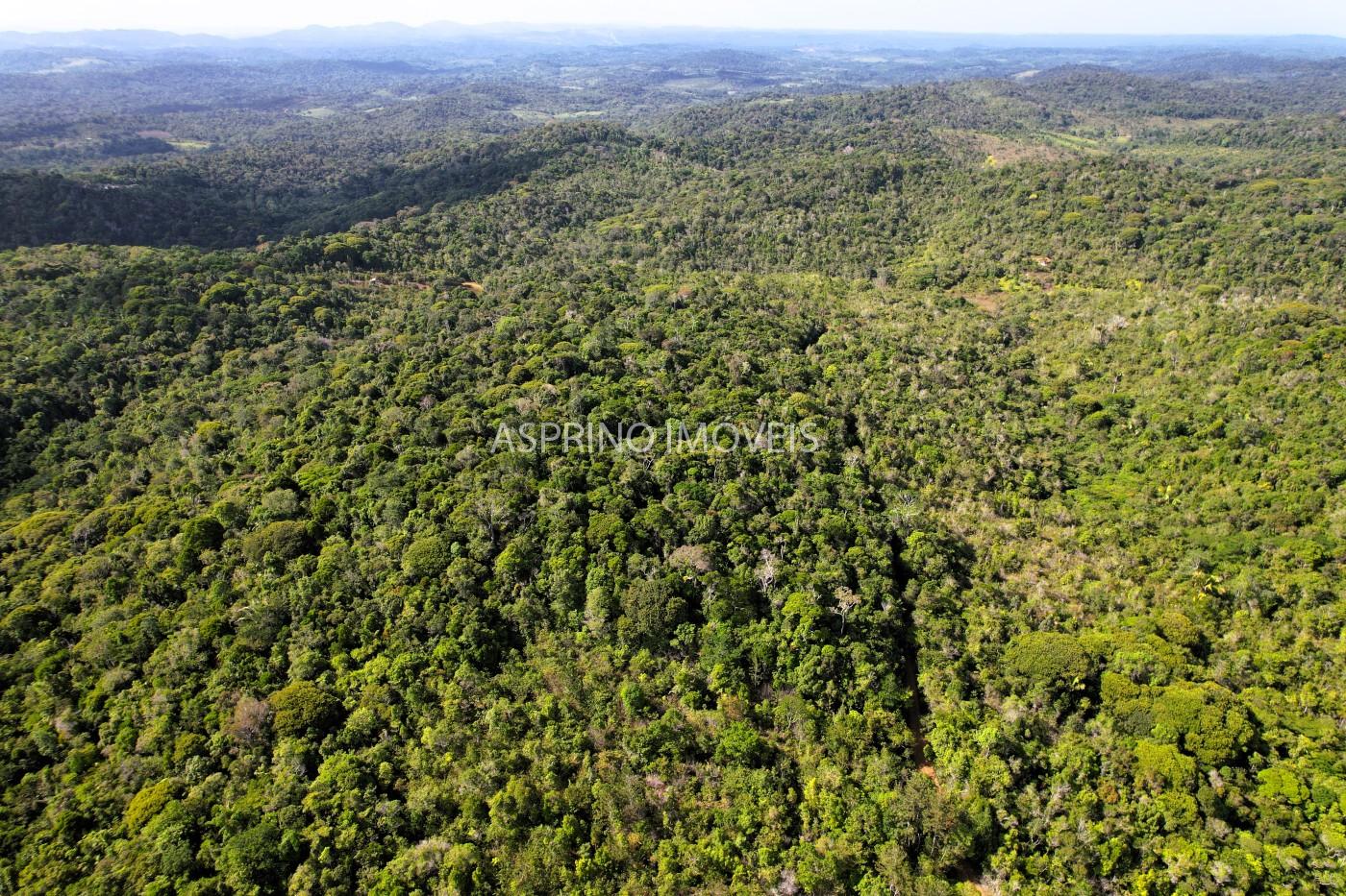 Terreno, 3 hectares - Foto 15