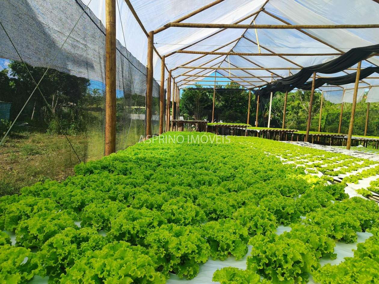 Terreno, 5000 m² - Foto 8