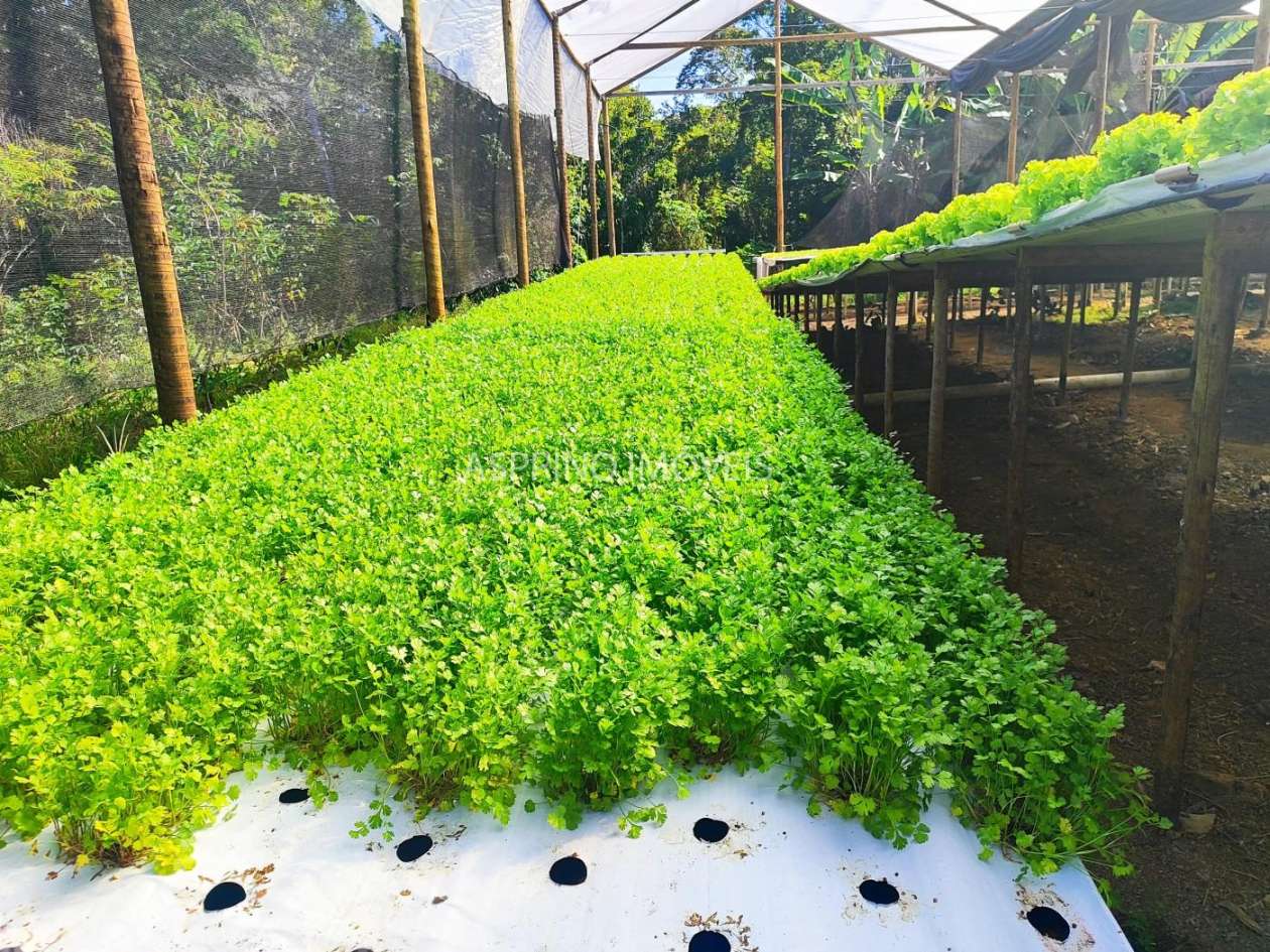 Terreno, 5000 m² - Foto 9