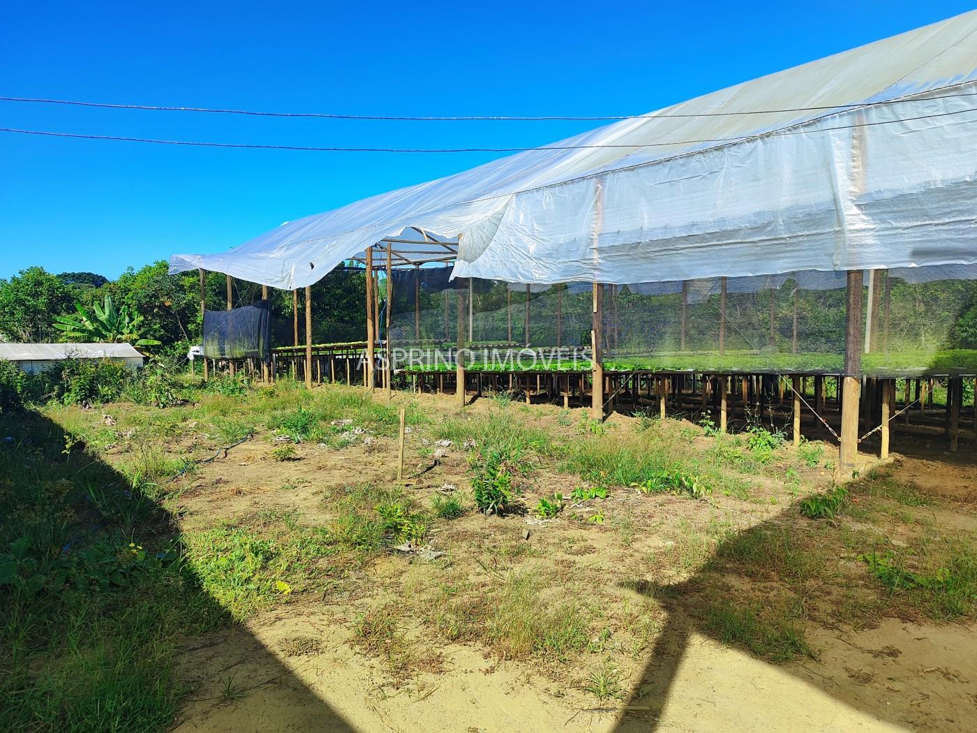 Terreno, 5000 m² - Foto 10