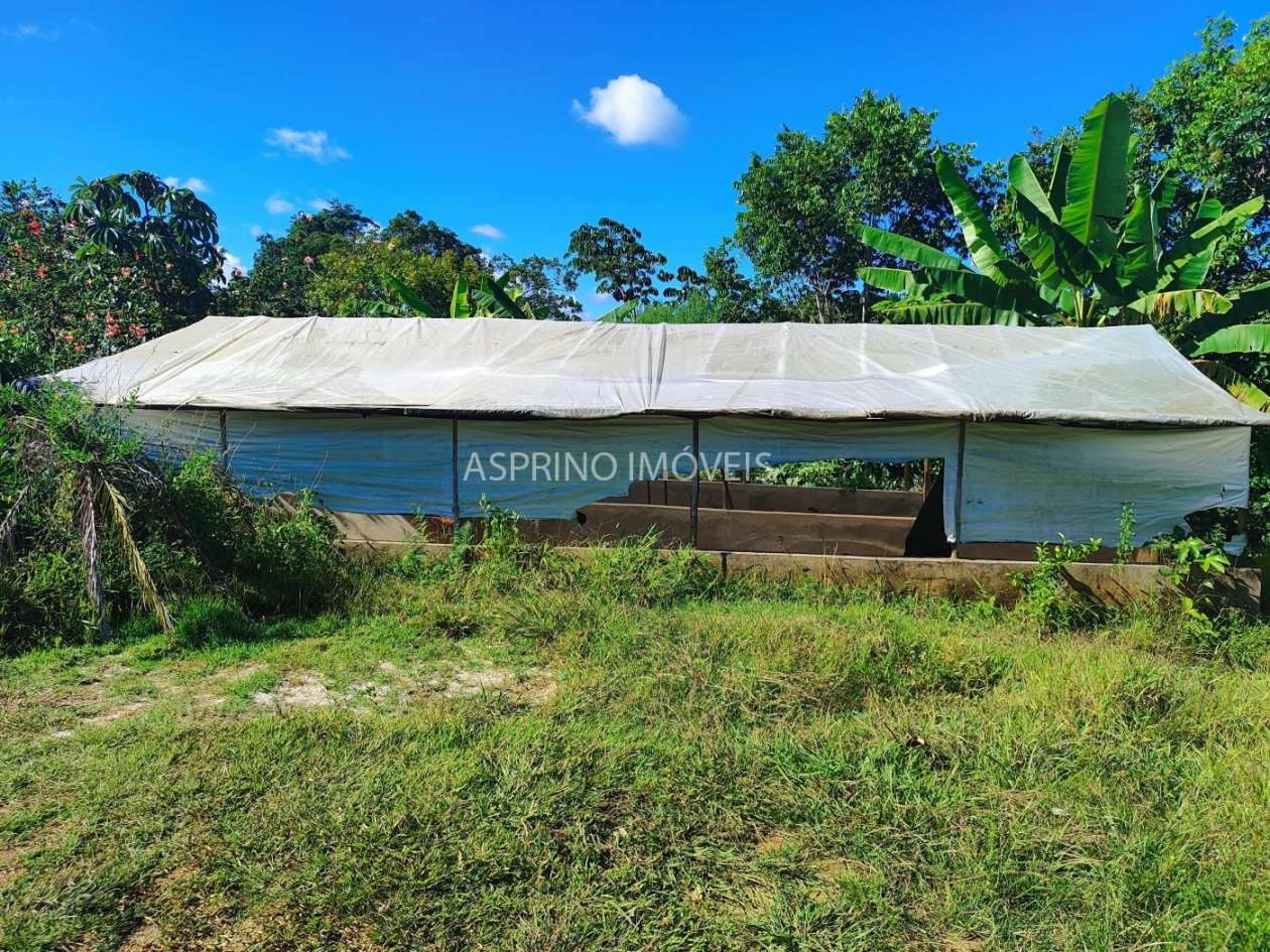 Terreno, 5000 m² - Foto 16