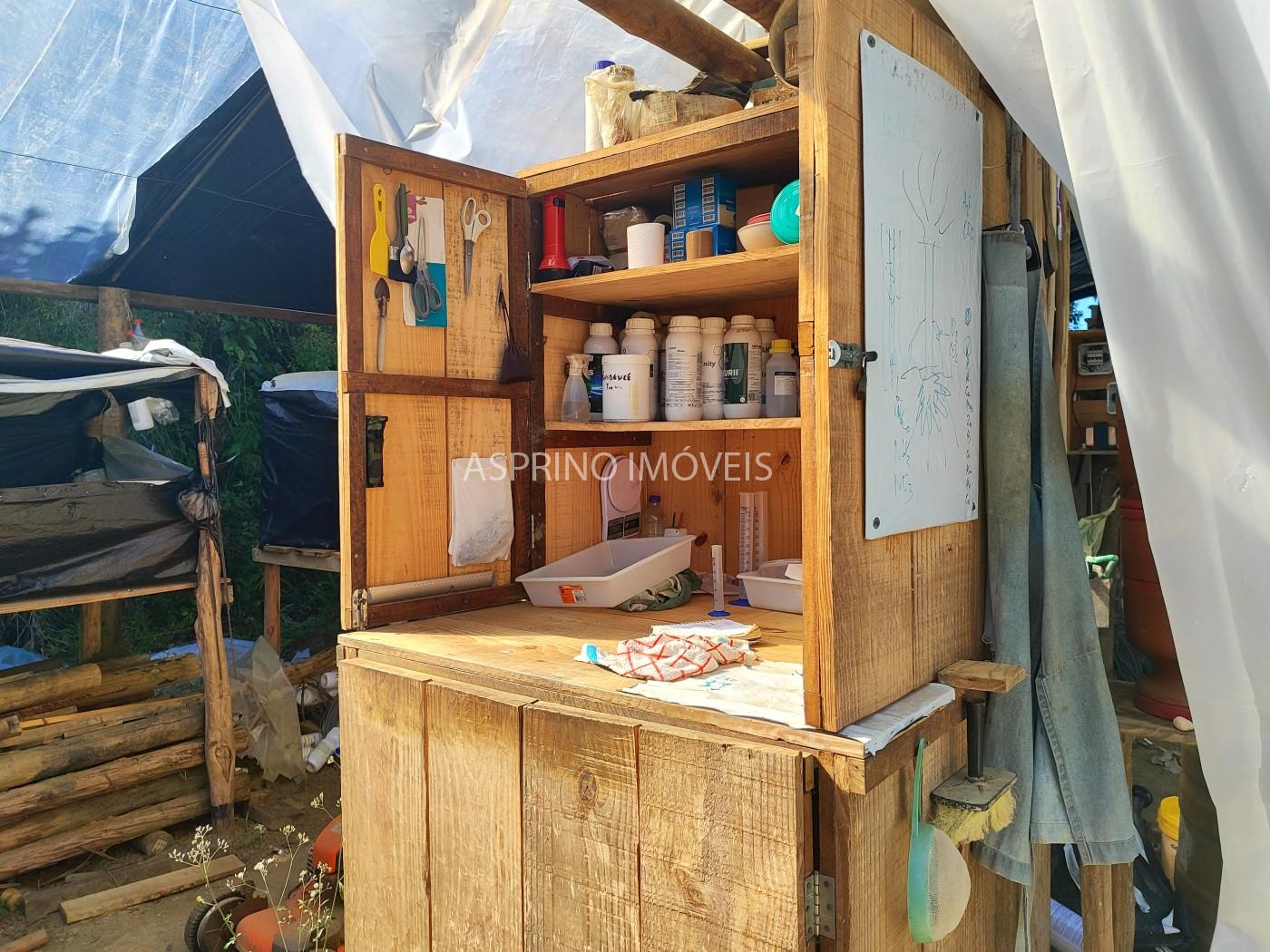 Terreno, 5000 m² - Foto 14