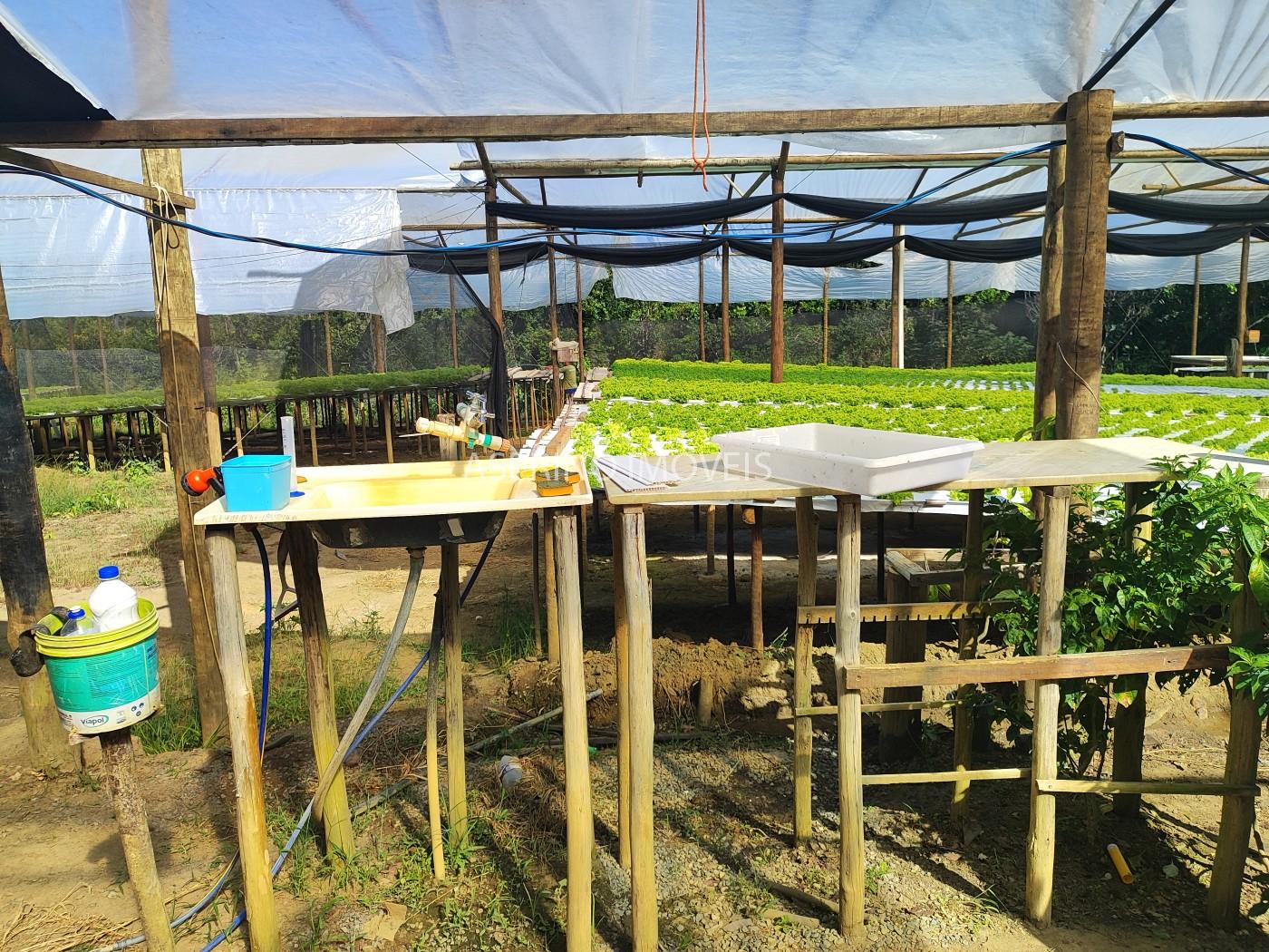 Terreno, 5000 m² - Foto 12