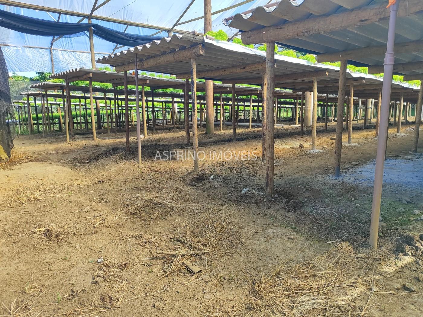 Terreno, 5000 m² - Foto 11