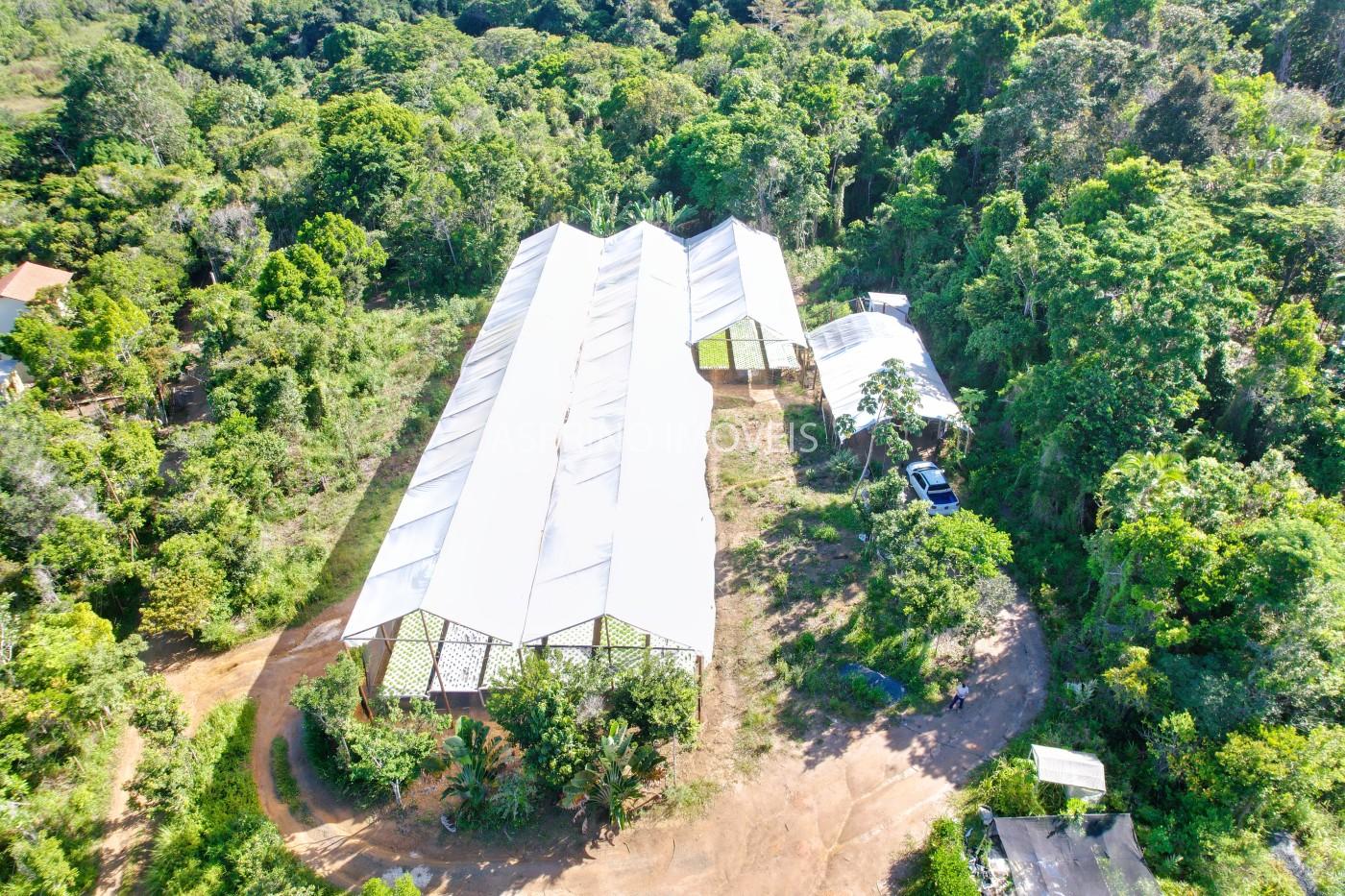 Terreno, 5000 m² - Foto 5