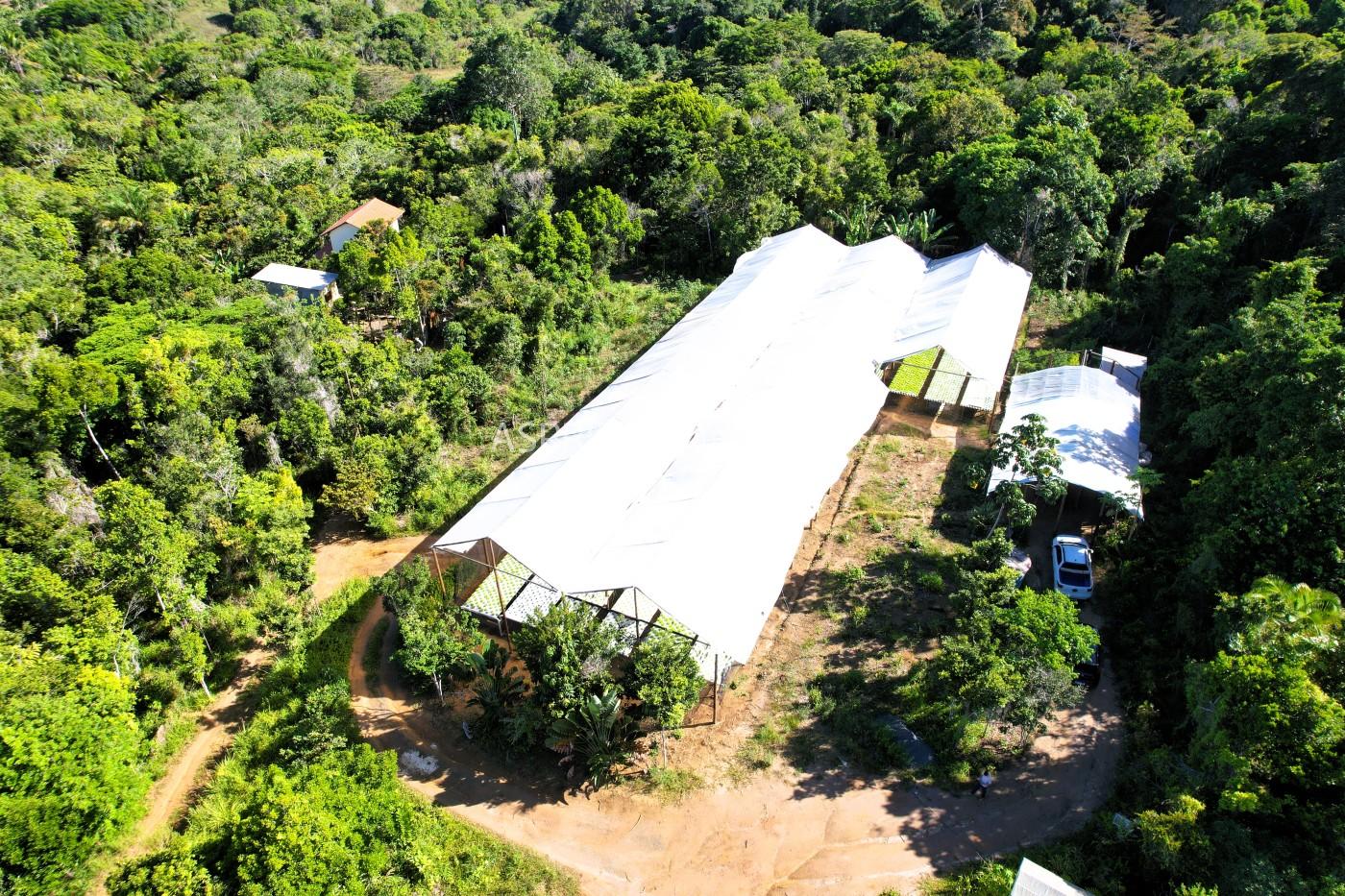 Terreno, 5000 m² - Foto 6