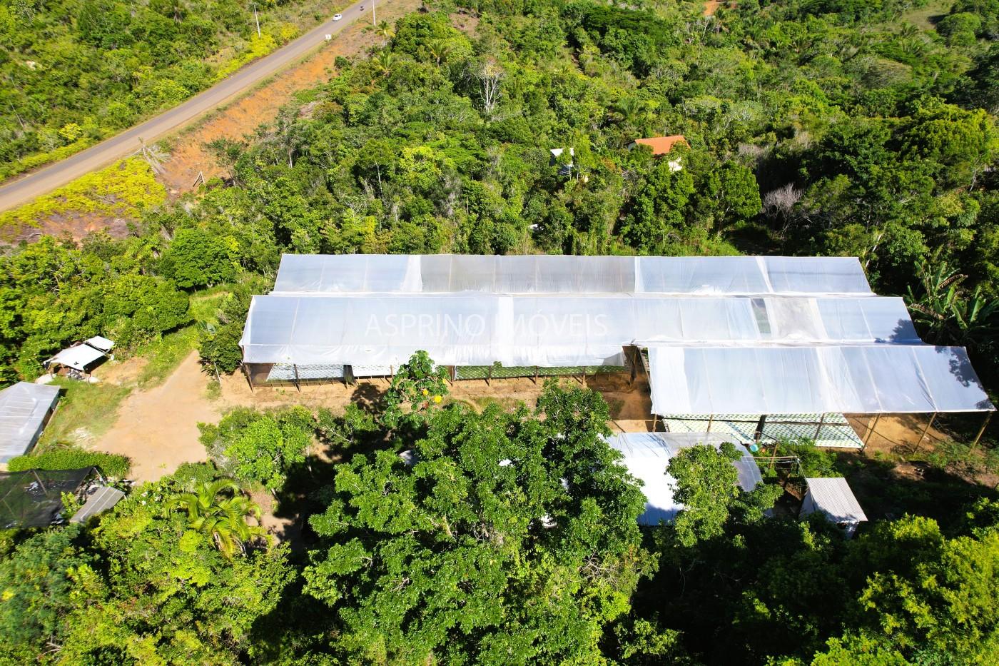 Terreno, 5000 m² - Foto 3