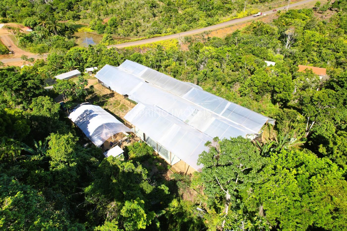 Terreno, 5000 m² - Foto 1