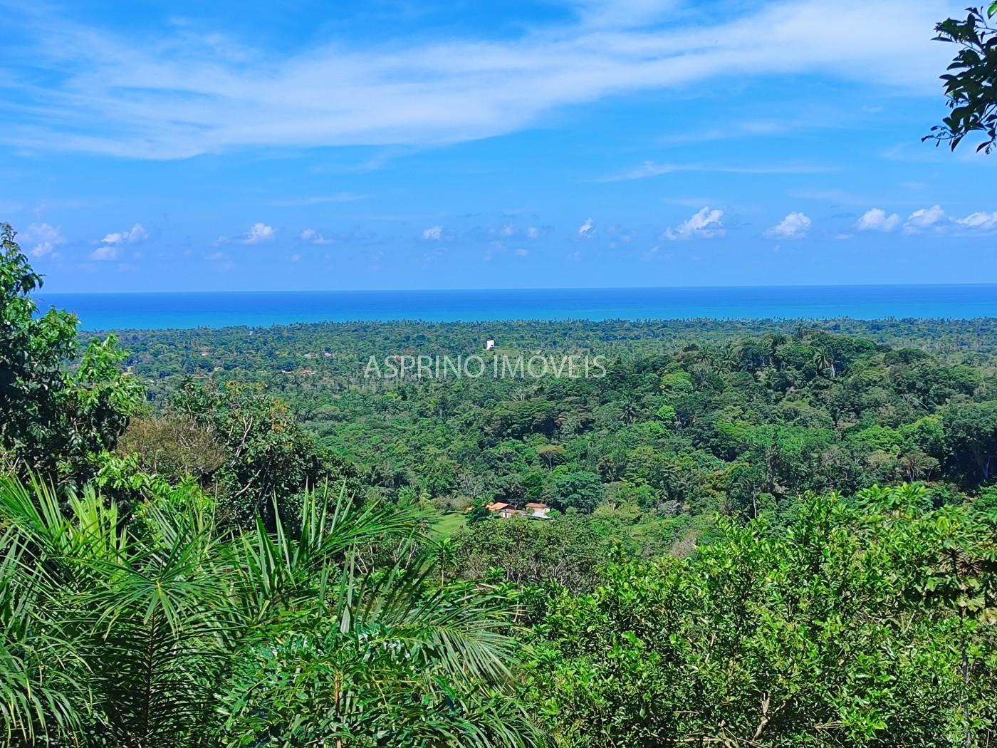 Sítio, 1 quarto, 10 hectares - Foto 1