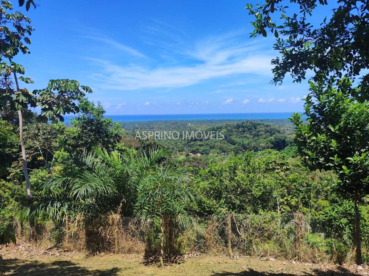 Sítio, 1 quarto, 10 hectares - Foto 6