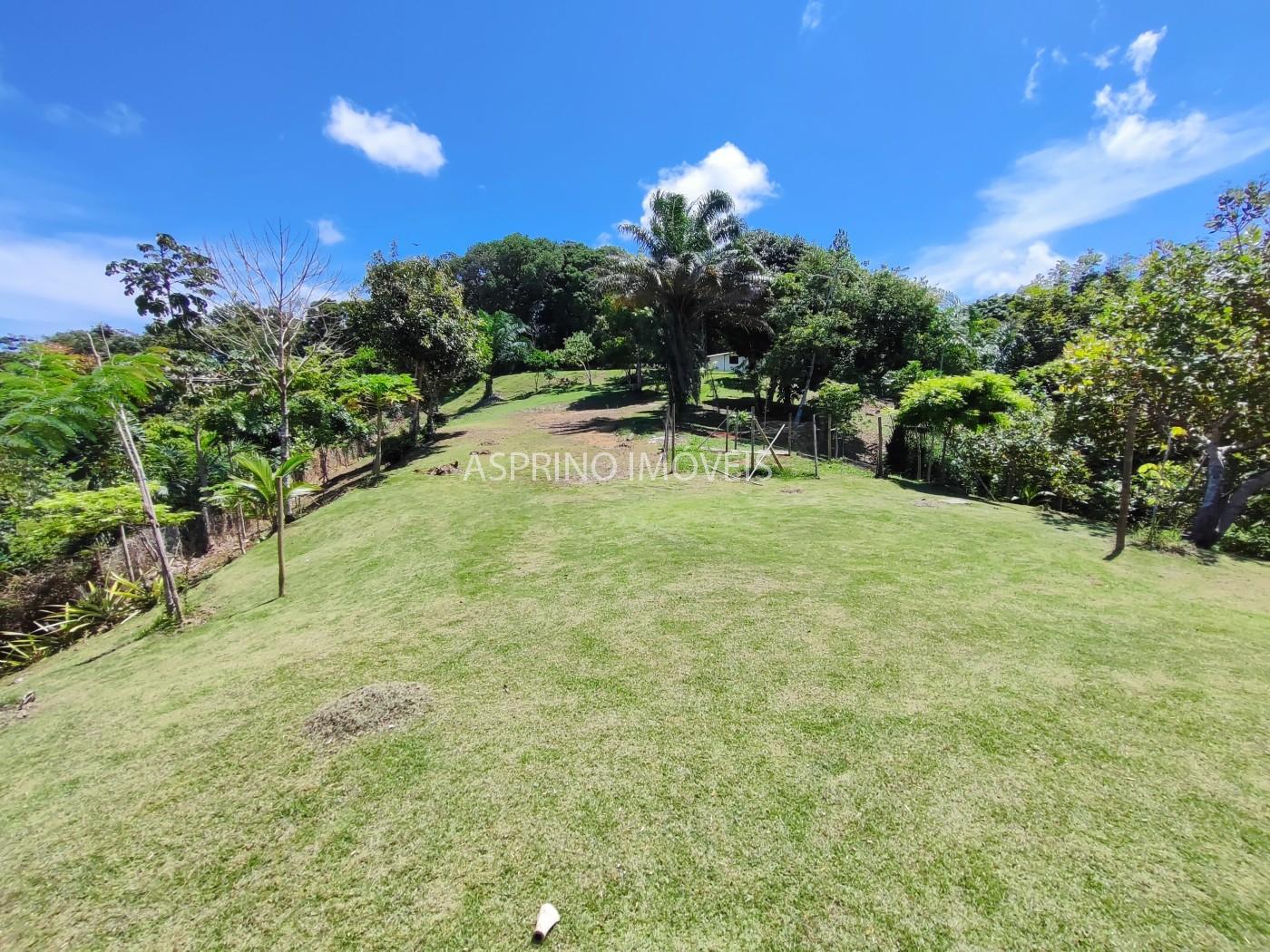 Sítio, 1 quarto, 10 hectares - Foto 5