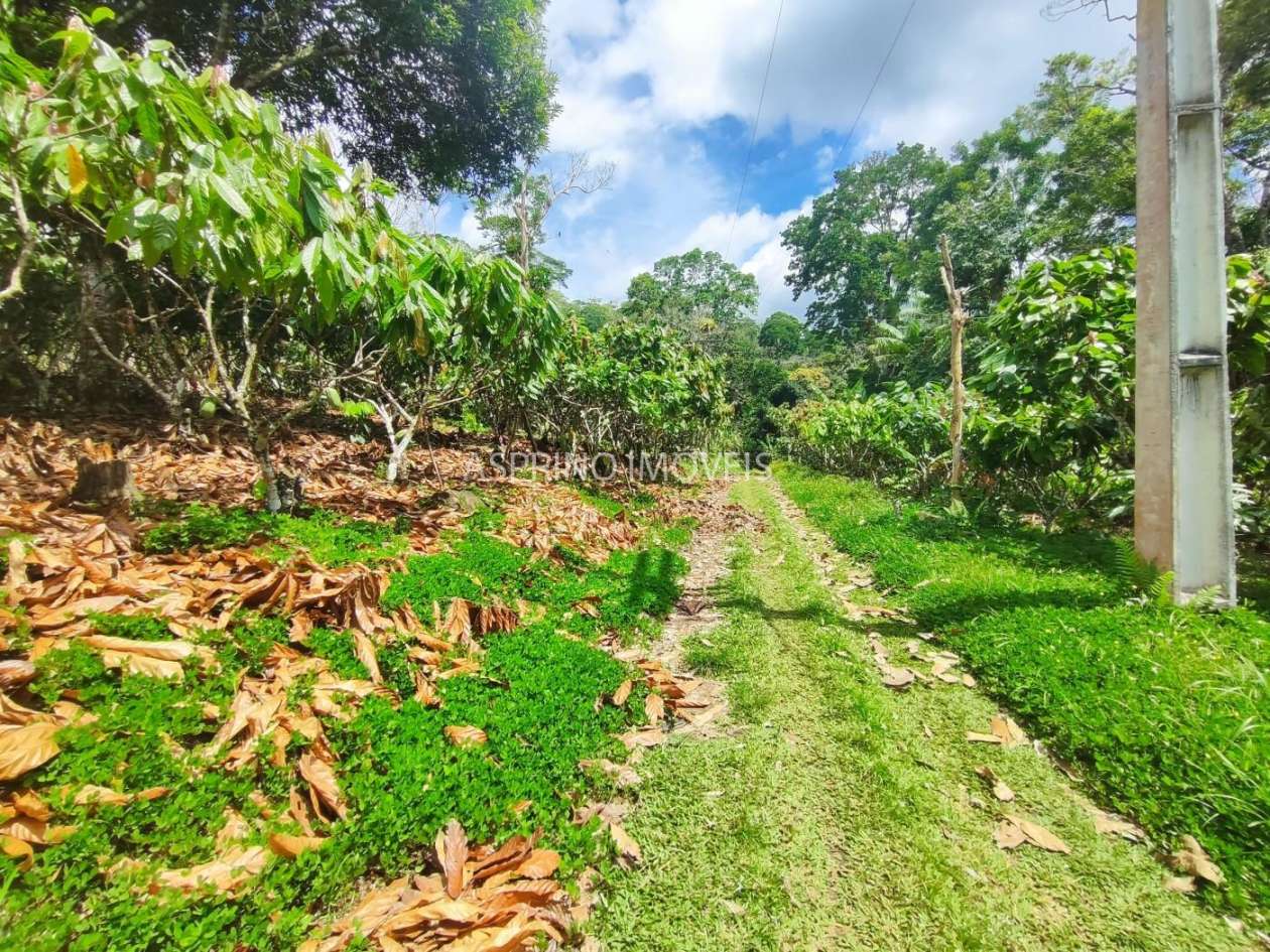 Fazenda, 52 hectares - Foto 9
