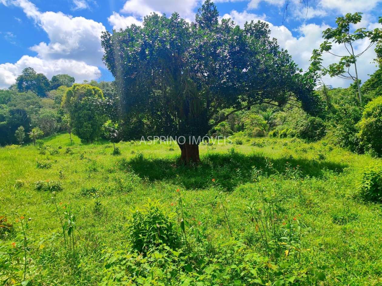 Fazenda, 52 hectares - Foto 10