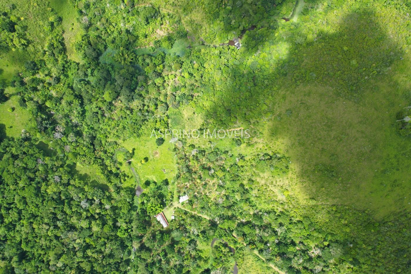 Fazenda, 52 hectares - Foto 26