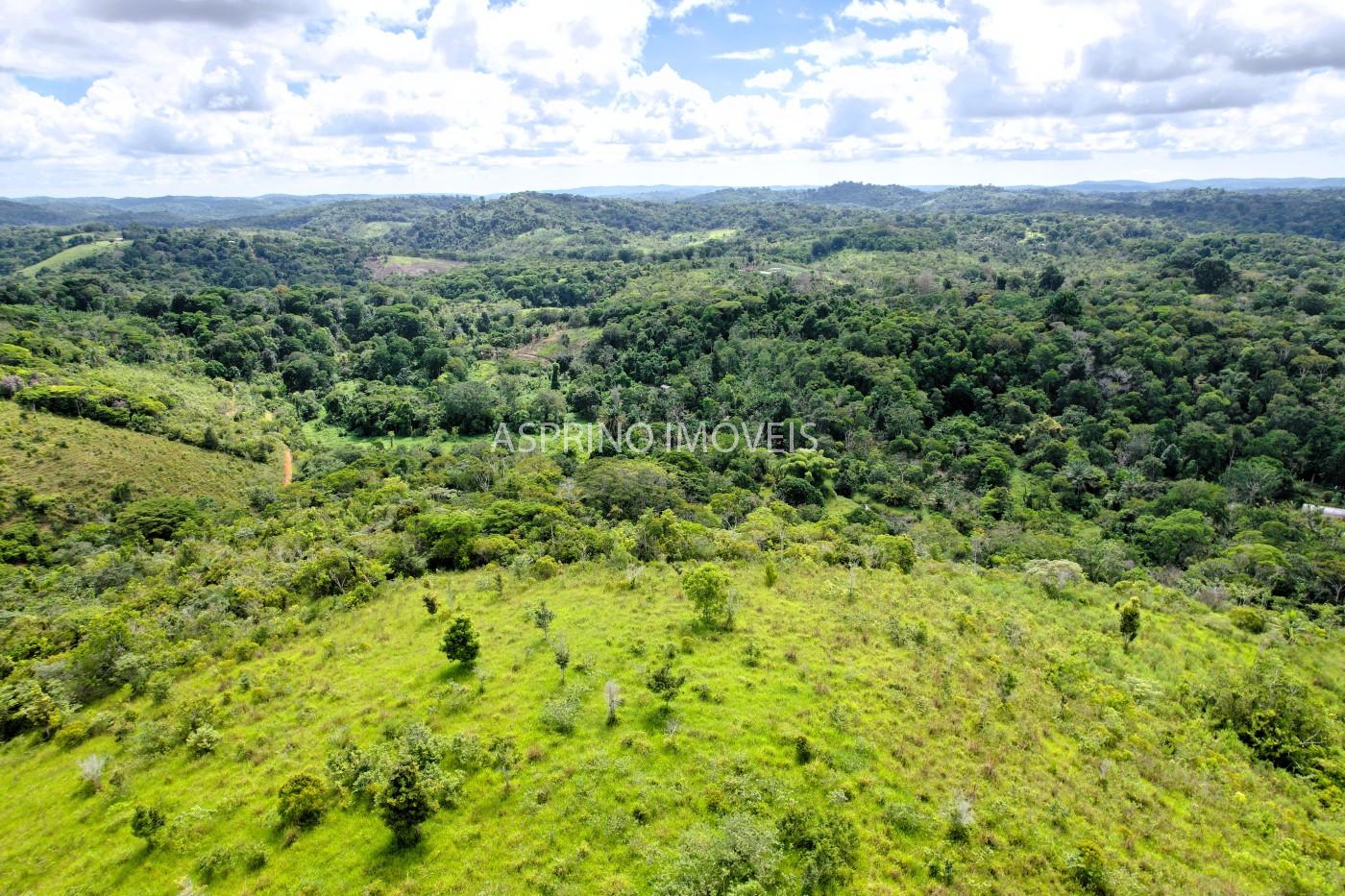 Fazenda, 52 hectares - Foto 11