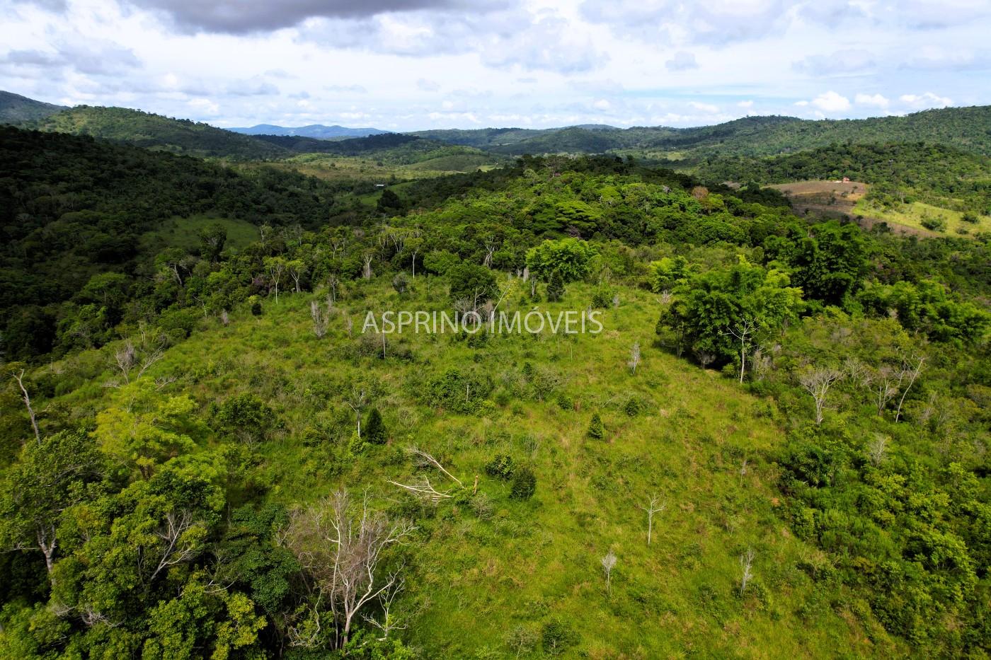 Fazenda, 52 hectares - Foto 13