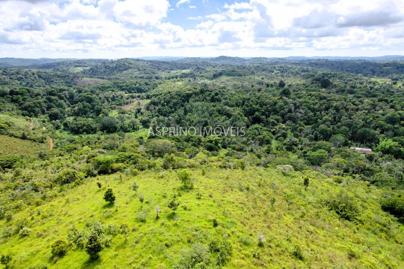 Fazenda, 52 hectares - Foto 12