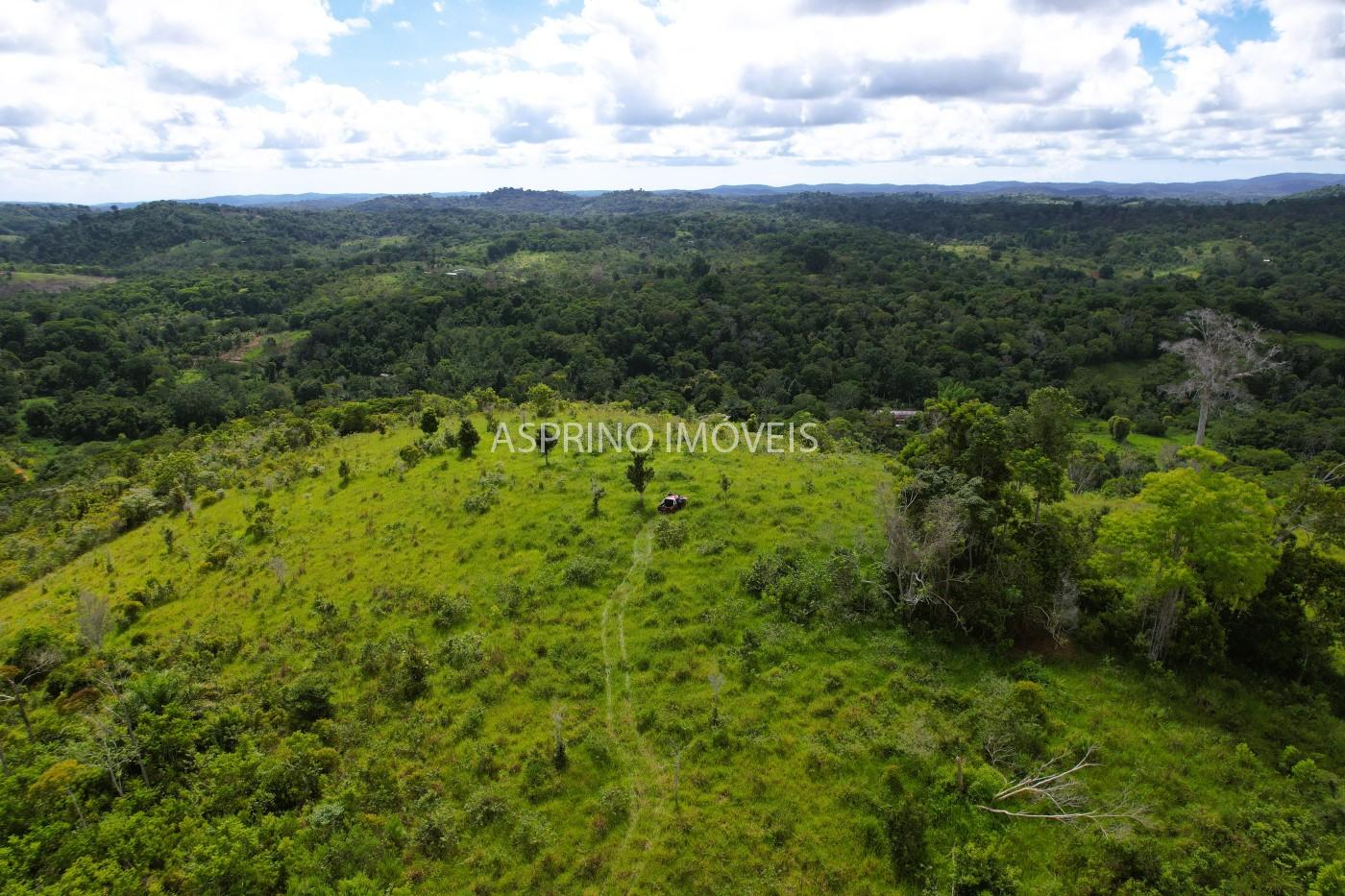 Fazenda, 52 hectares - Foto 14