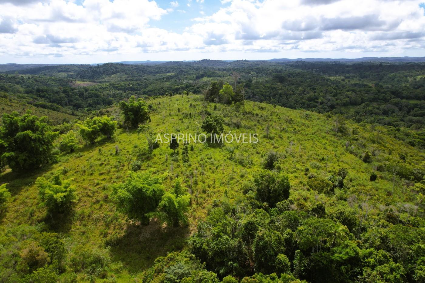 Fazenda, 52 hectares - Foto 15