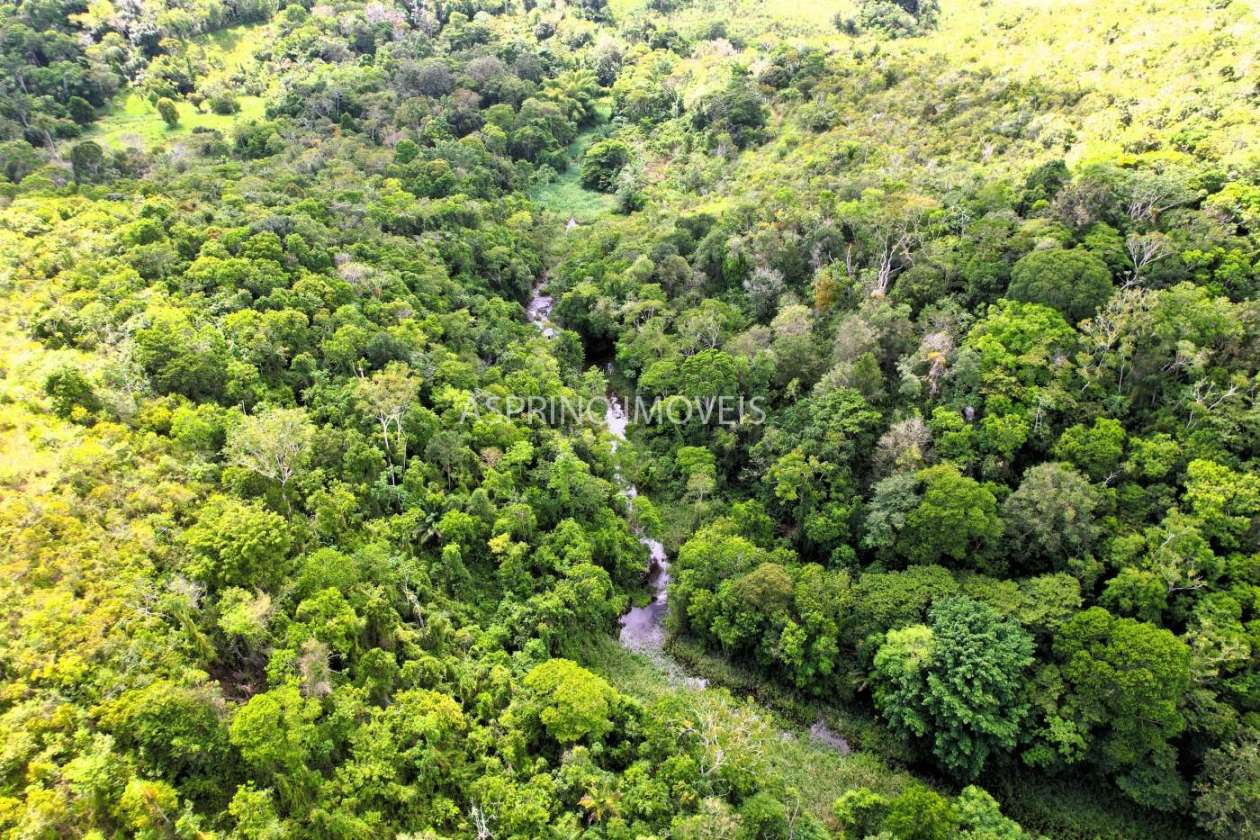 Fazenda, 52 hectares - Foto 3