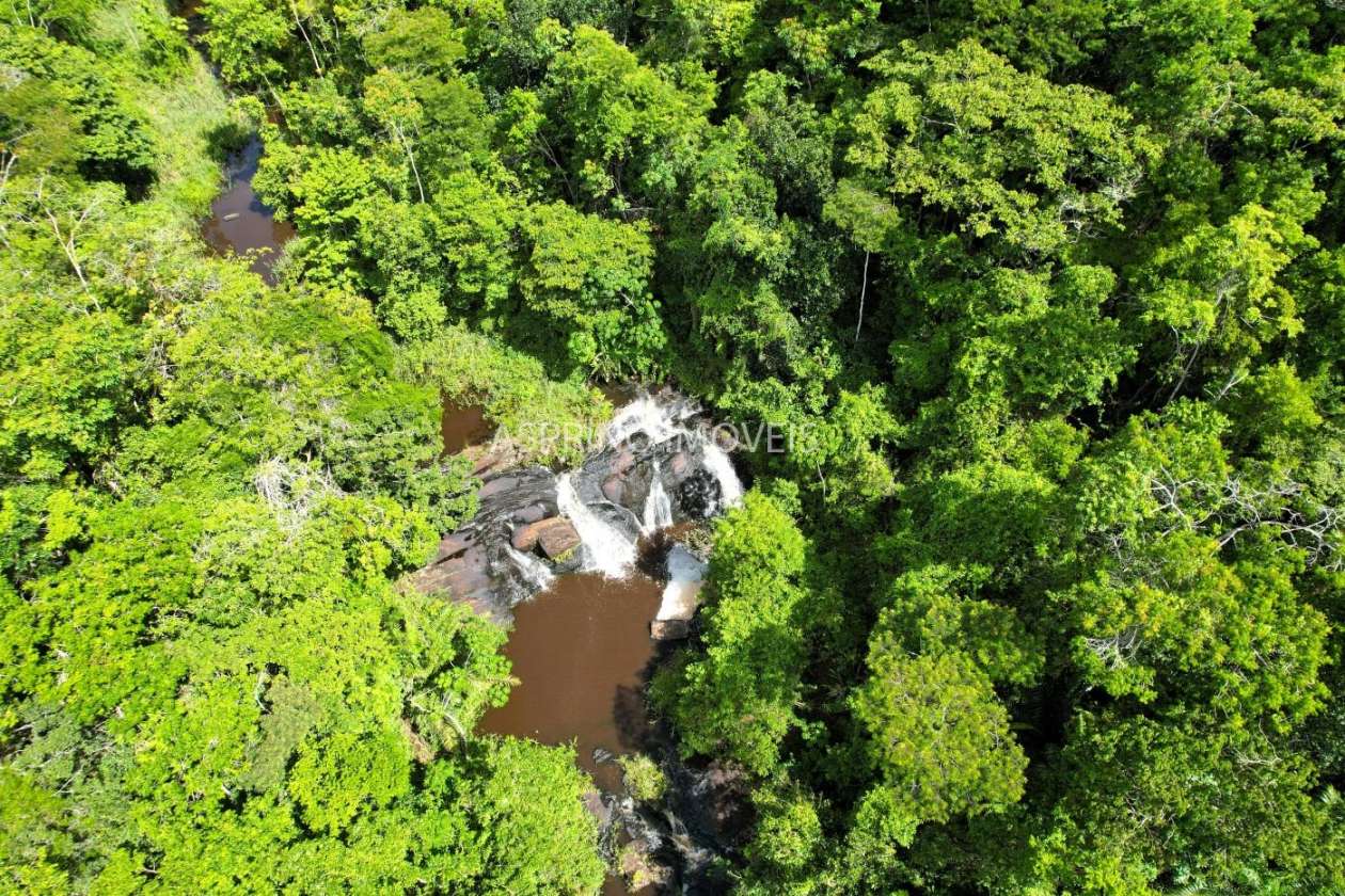 Fazenda, 52 hectares - Foto 2