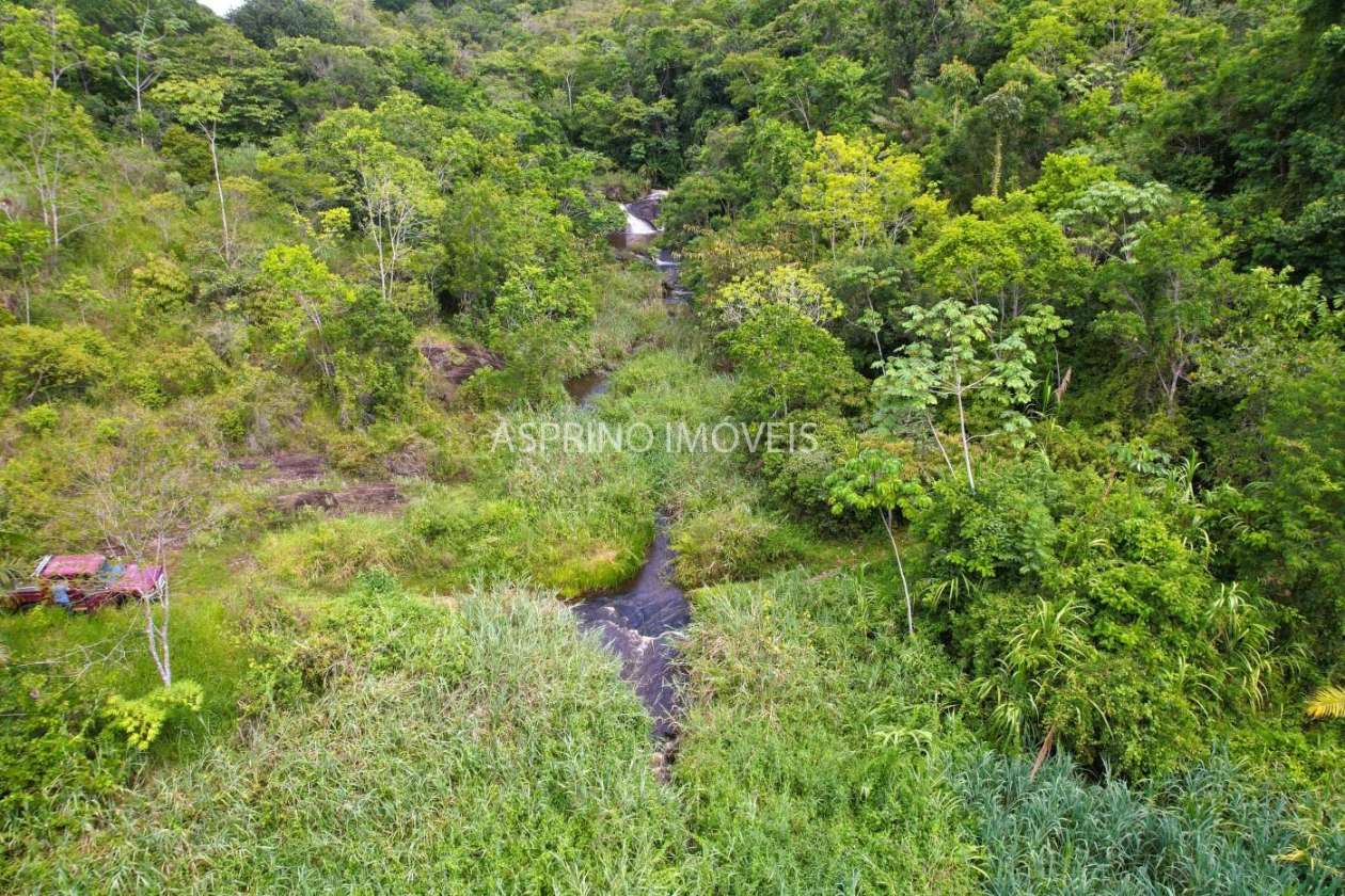 Fazenda, 52 hectares - Foto 24