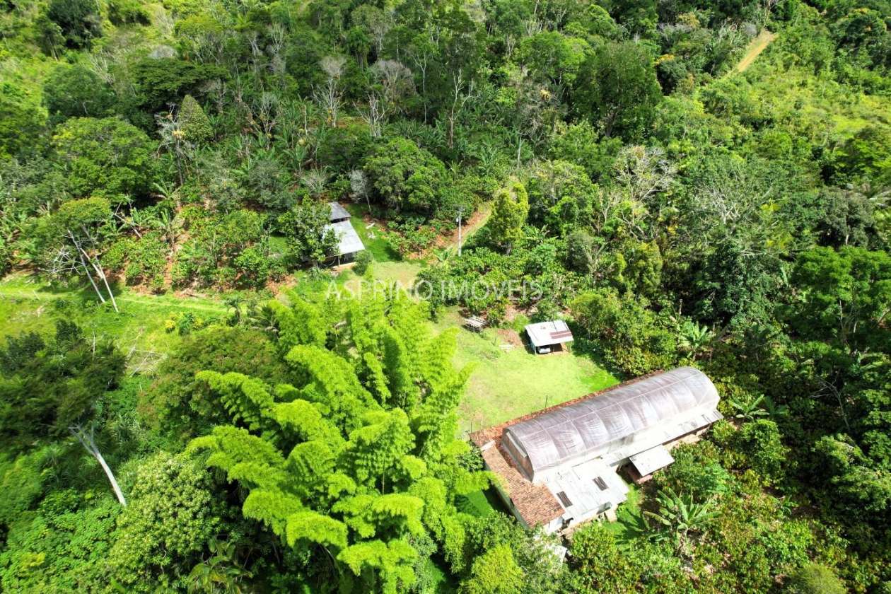 Fazenda, 52 hectares - Foto 1