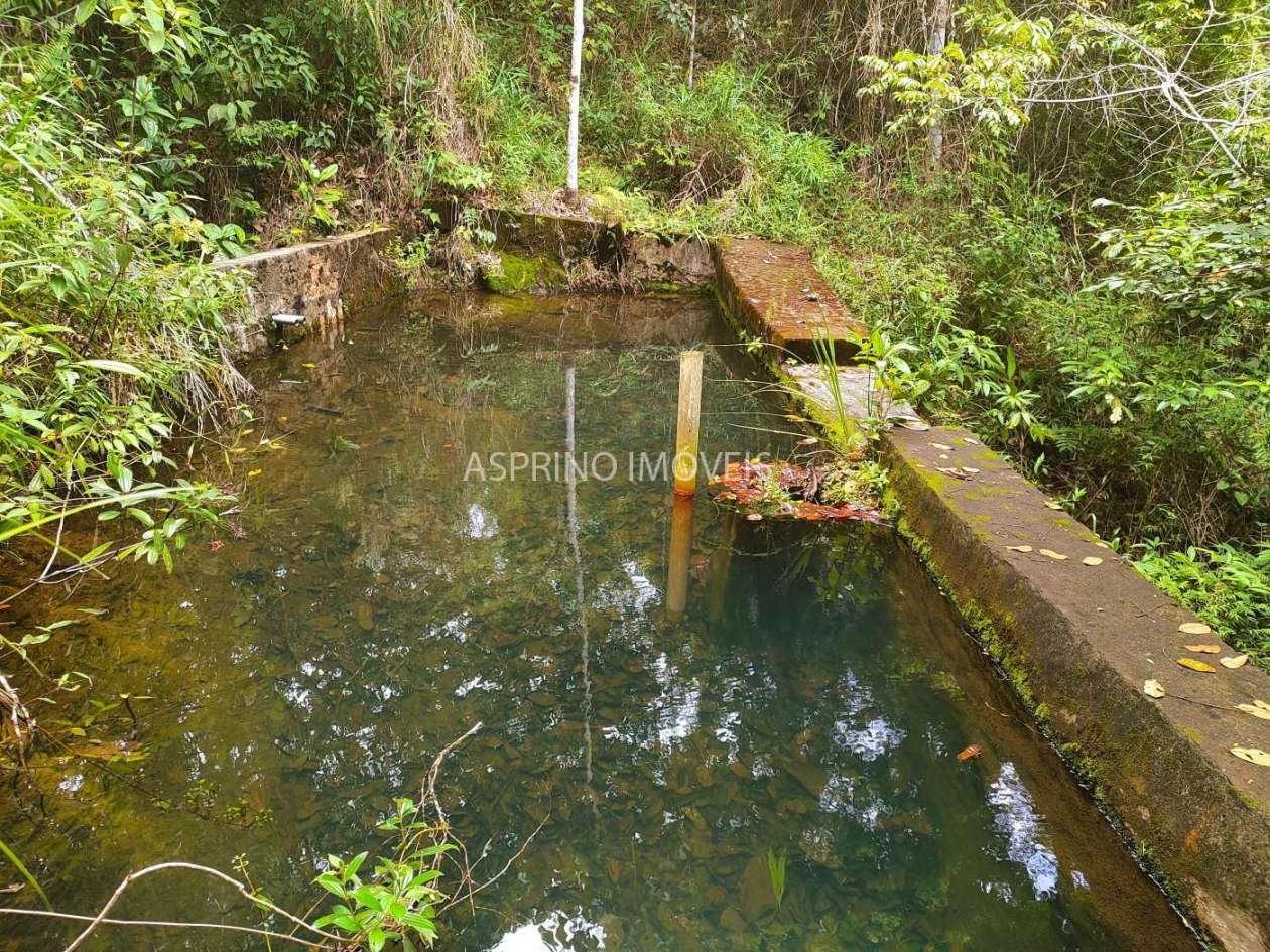 Terreno, 4 hectares - Foto 20
