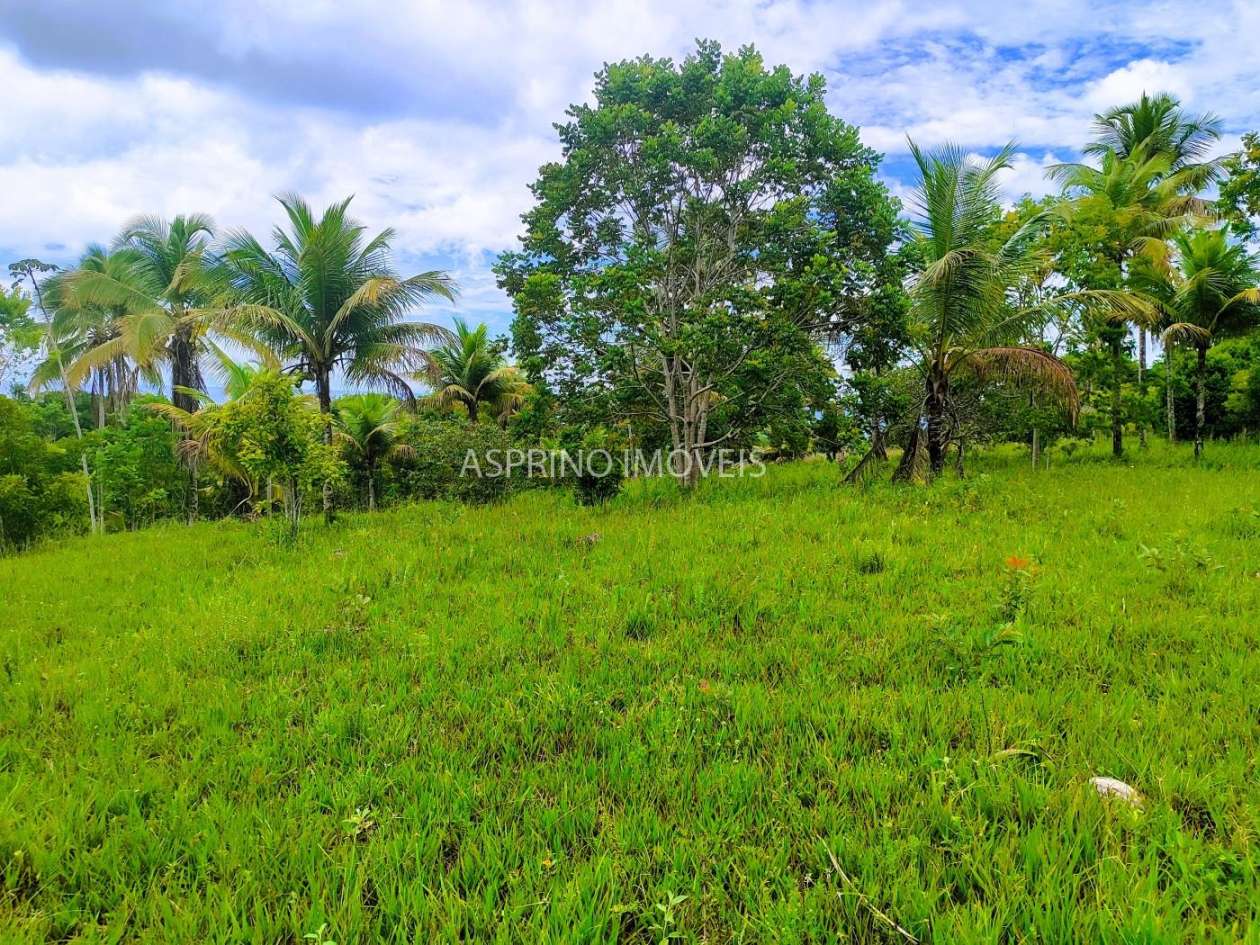 Terreno, 4 hectares - Foto 8