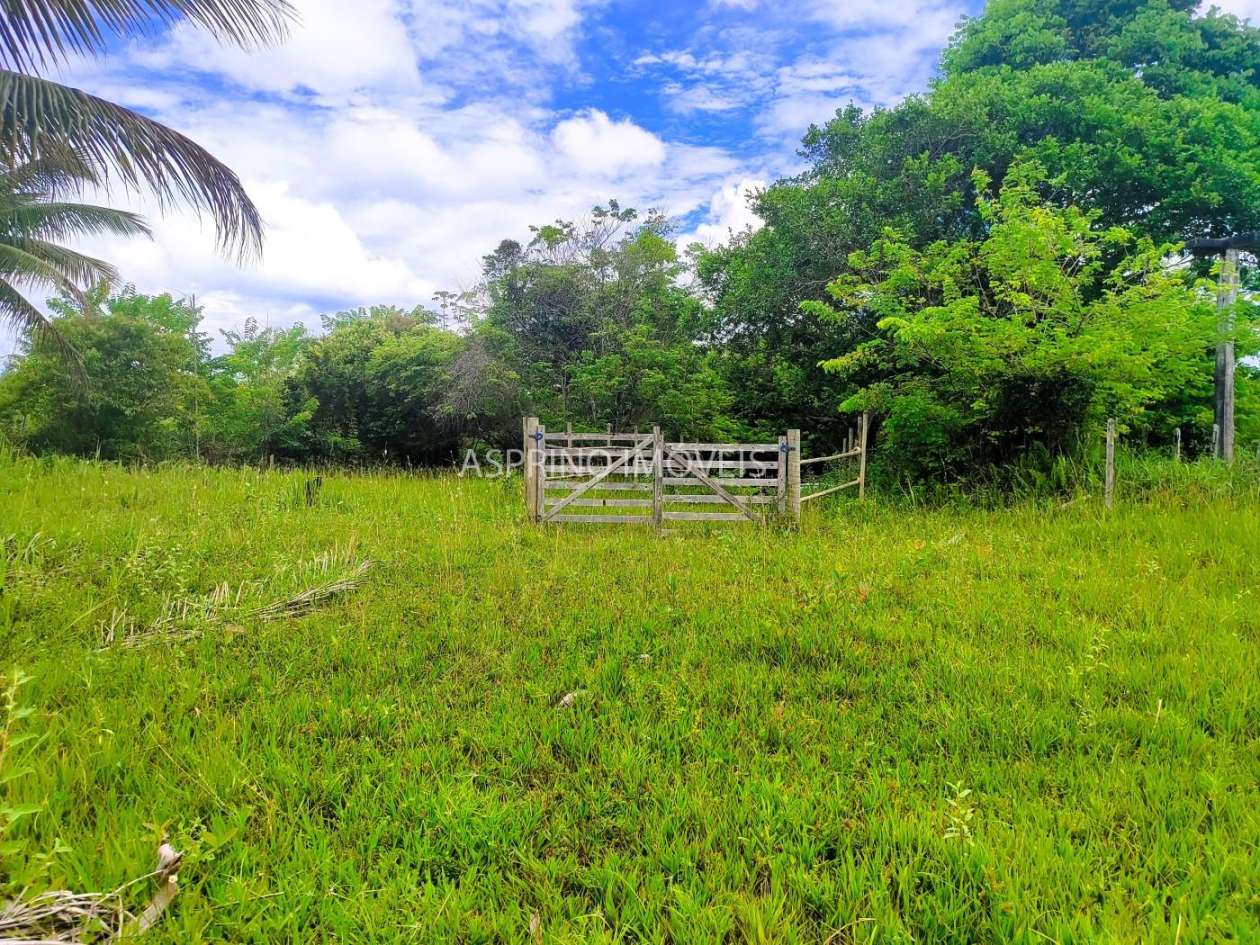 Terreno, 4 hectares - Foto 7