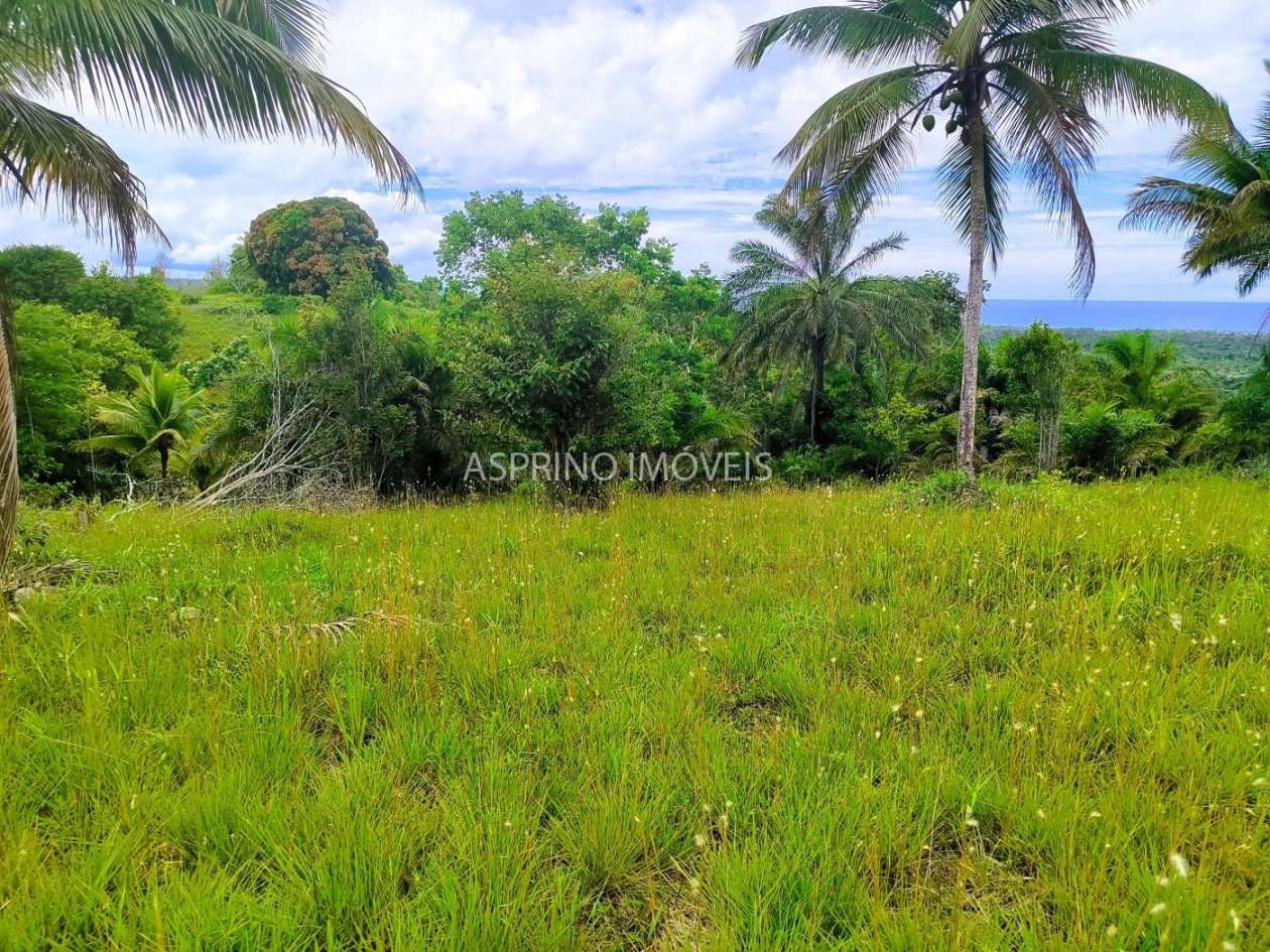 Terreno, 4 hectares - Foto 9