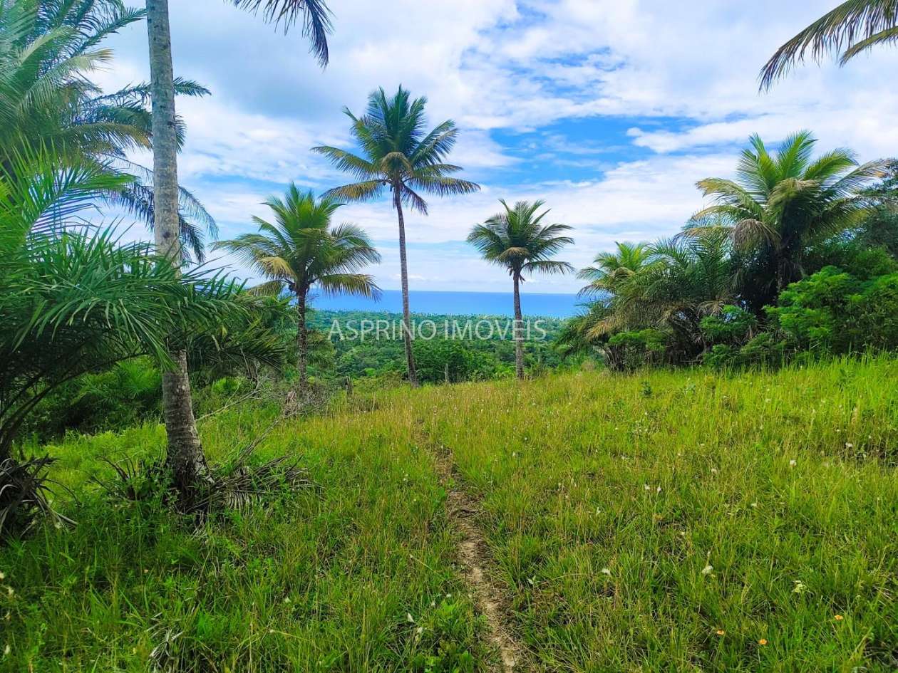 Terreno, 4 hectares - Foto 6