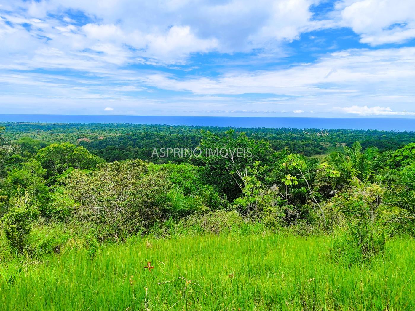 Terreno, 4 hectares - Foto 1